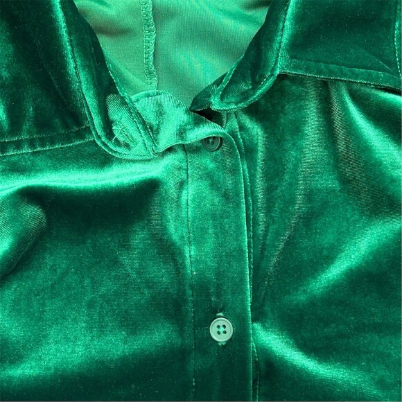 Ciebon Blouse Womens Size L Emerald Green Velvet Button Front Collared LS - Picture 5 of 9